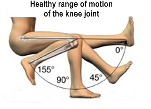 knee-range-of-motion